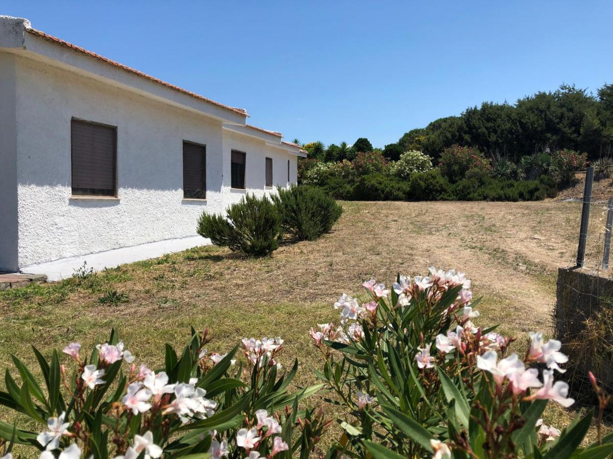 Villa Rosa Valledoria  Esterno foto